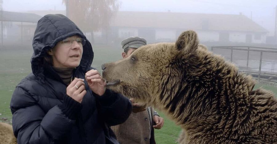 Brasov: Libearty Bear Sanctuary - Key points to know before booking