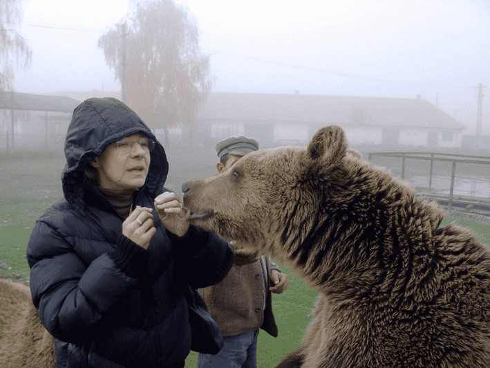 Brasov: Libearty Bear Sanctuary - Walking through about 70 hectares of forest