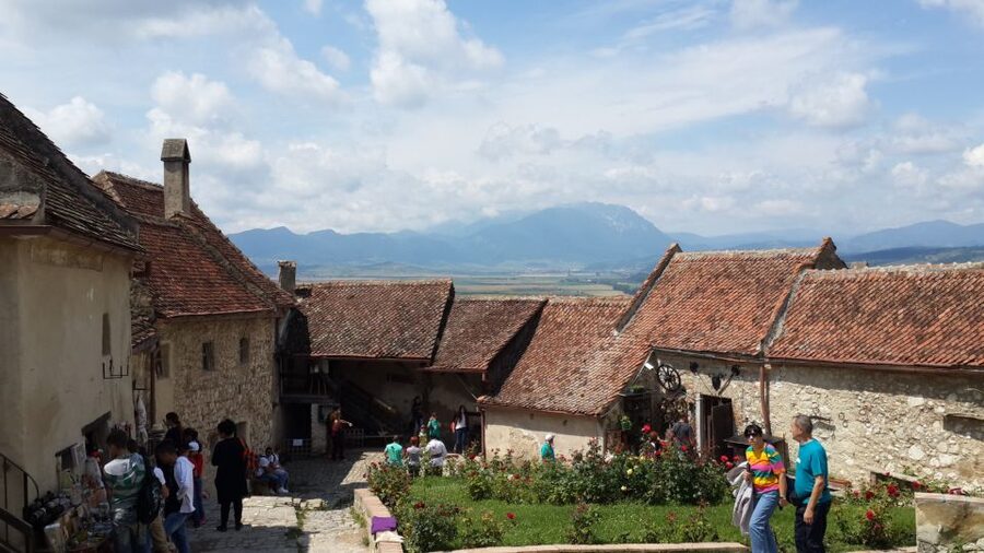 Brasov: Peles Castle, Bran Castle & Rasnov Fortress Day Tour - Who will enjoy this day most
