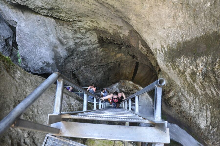 Brasov: Small-Group 7 Ladders Canyon Day Trip - From Brasov to the Piatra Mare Massif