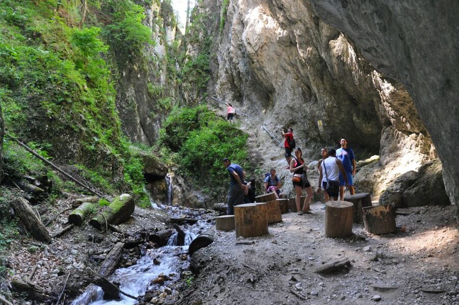Brasov: Small-Group 7 Ladders Canyon Day Trip - Entering the canyon by ladder and waterfall