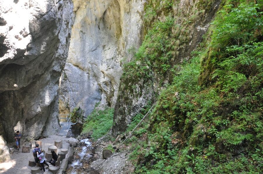 Brasov: Small-Group 7 Ladders Canyon Day Trip - Is $76 good value for a four-hour outing?