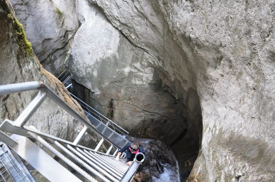 Brasov: Small-Group 7 Ladders Canyon Day Trip - The 45-minute forest walk to Seven Ladders Canyon