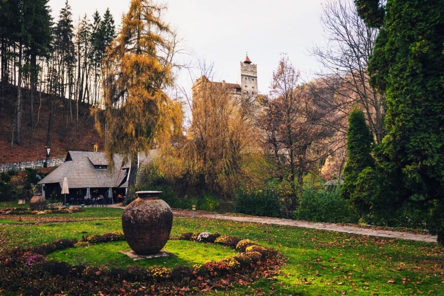 Bucharest: Bran Castle and Bear Sanctuary Small-Group Tour - Key points to know before booking