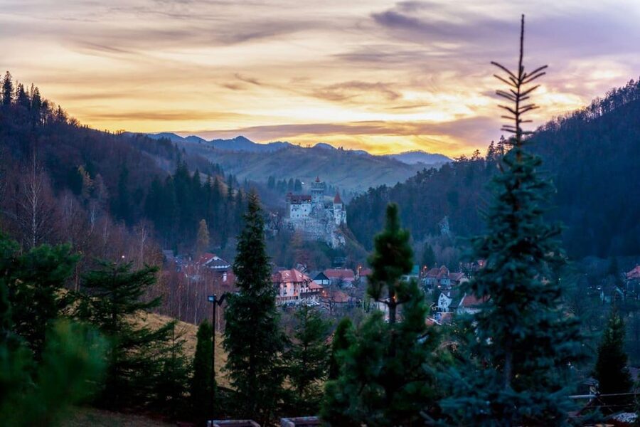 Bucharest: Bran Castle and Bear Sanctuary Small-Group Tour - Libearty Bear Sanctuary: the emotional center of the day