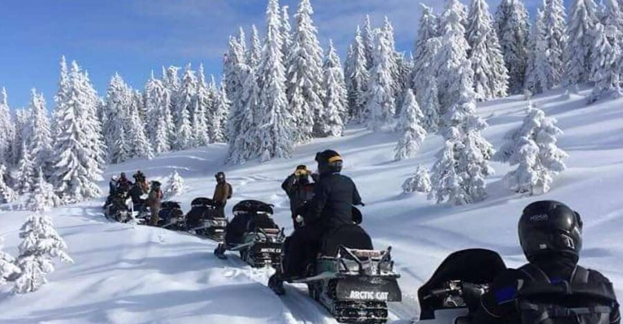Bucharest: Carpathian Snowmobile / ATV Adventure Tour - A full Carpathian day from Bucharest