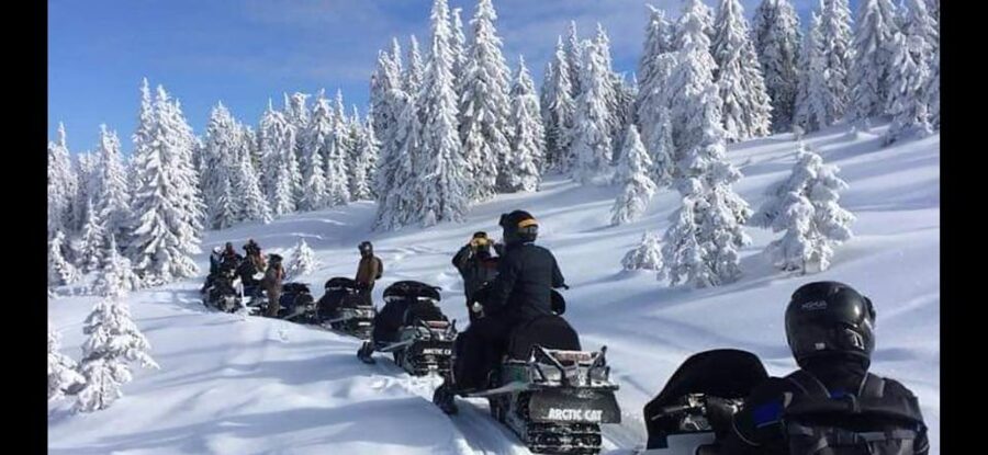 Bucharest: Carpathian Snowmobile / ATV Adventure Tour - Who will enjoy this day most