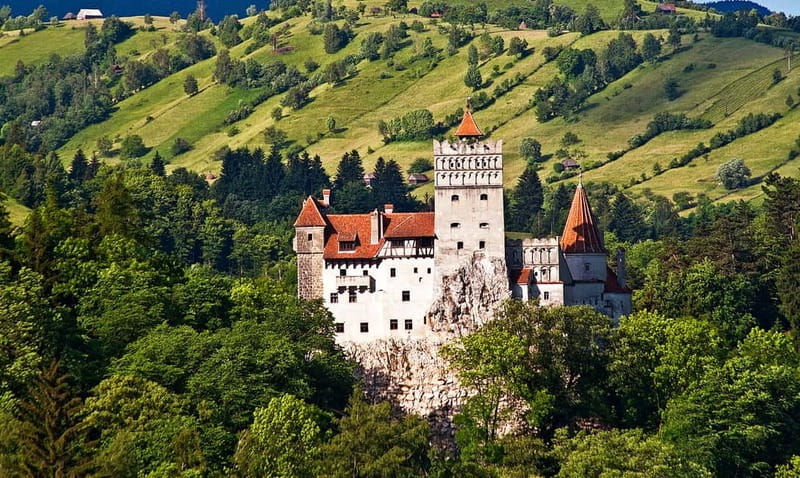 Bucharest: Day Trip to Bear Sanctuary, Bran Castle & Brasov - The three-hour ride from Bucharest