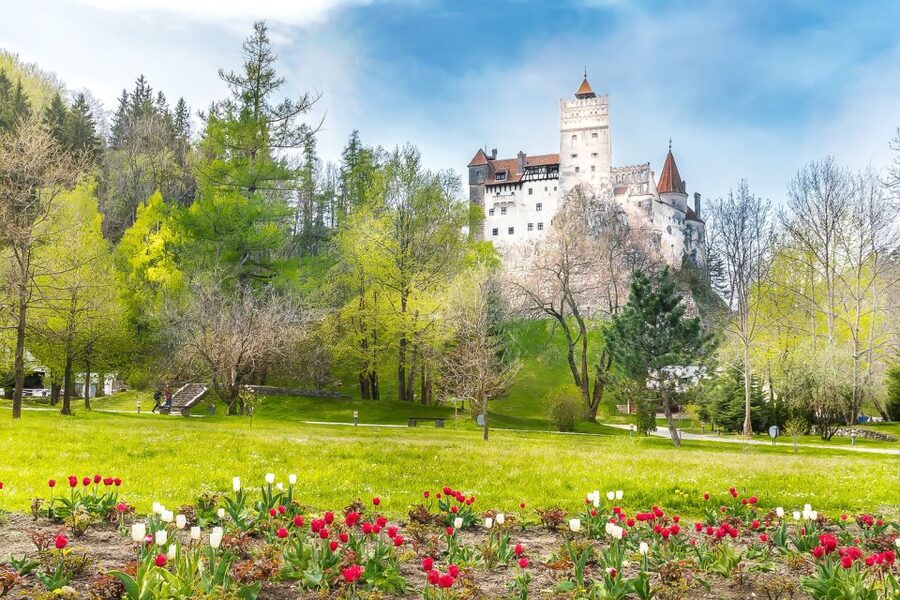 Bucharest: Day Trip to Dracula Castle, Peles Castle & Brașov - Transport, timing, and the real cost of the day