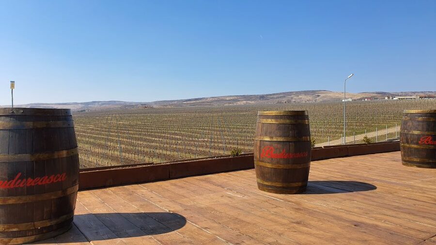Bucharest: Dealu Mare Winery Private Trip with Wine Tasting - Key points to know before you book