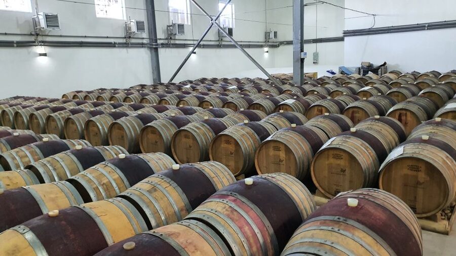 Bucharest: Dealu Mare Winery Private Trip with Wine Tasting - Why Dealu Mare makes a good day trip from Bucharest