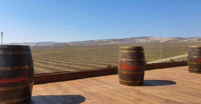 Dealu Mare Winery Private Trip with Wine Tasting