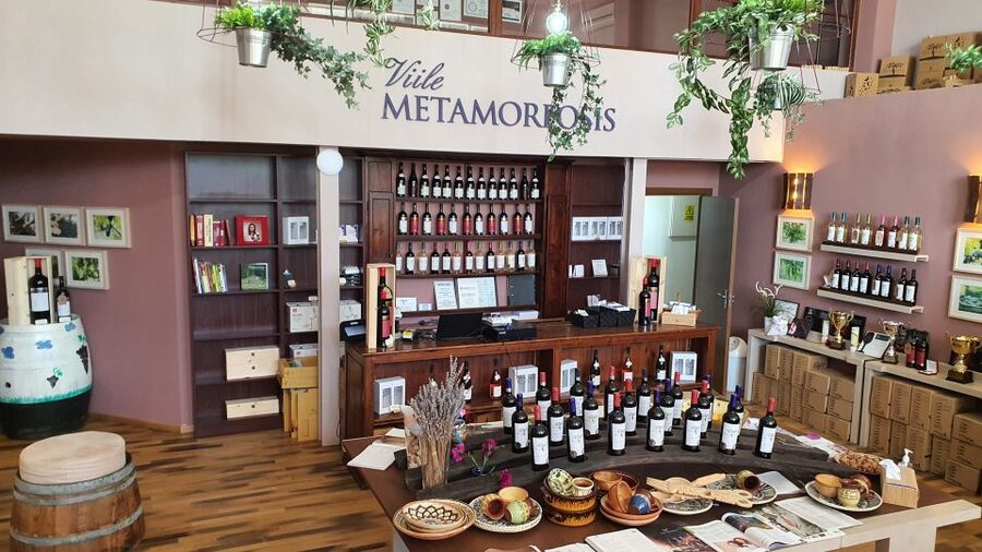 Bucharest: Dealu Mare Winery Private Trip with Wine Tasting - The guide can shape the experience