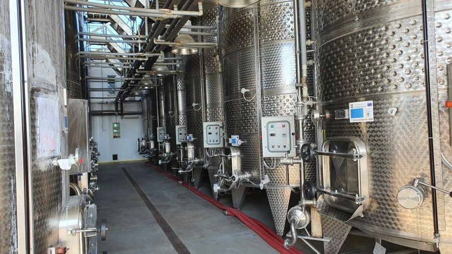 Bucharest: Dealu Mare Winery Private Trip with Wine Tasting - Who will enjoy this Dealu Mare outing?