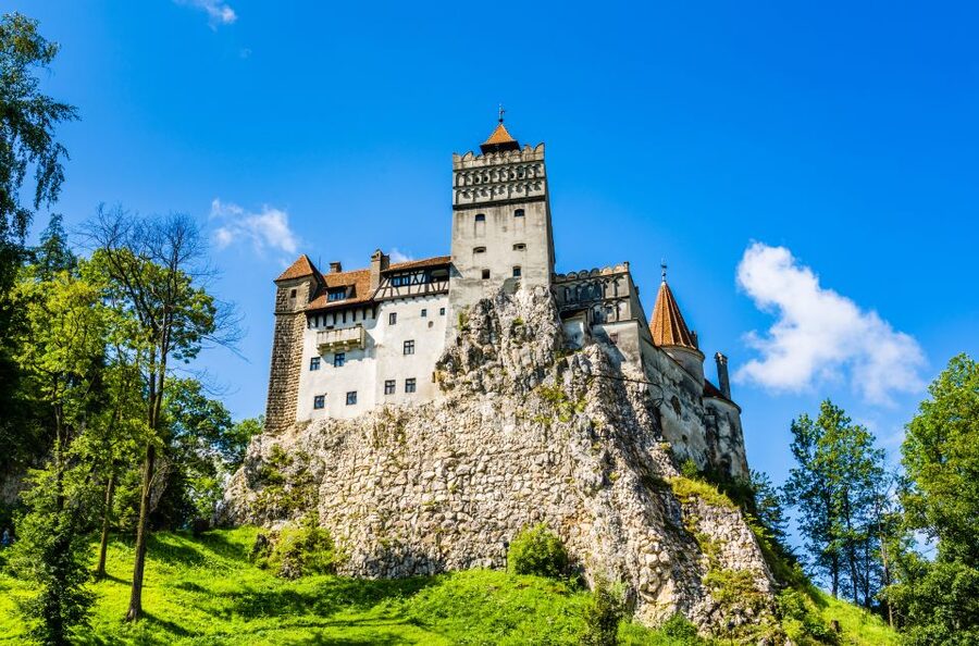 Bucharest: Dracula Castle, Peles Castle & Brasov Guided Tour - How good is the value at $116?