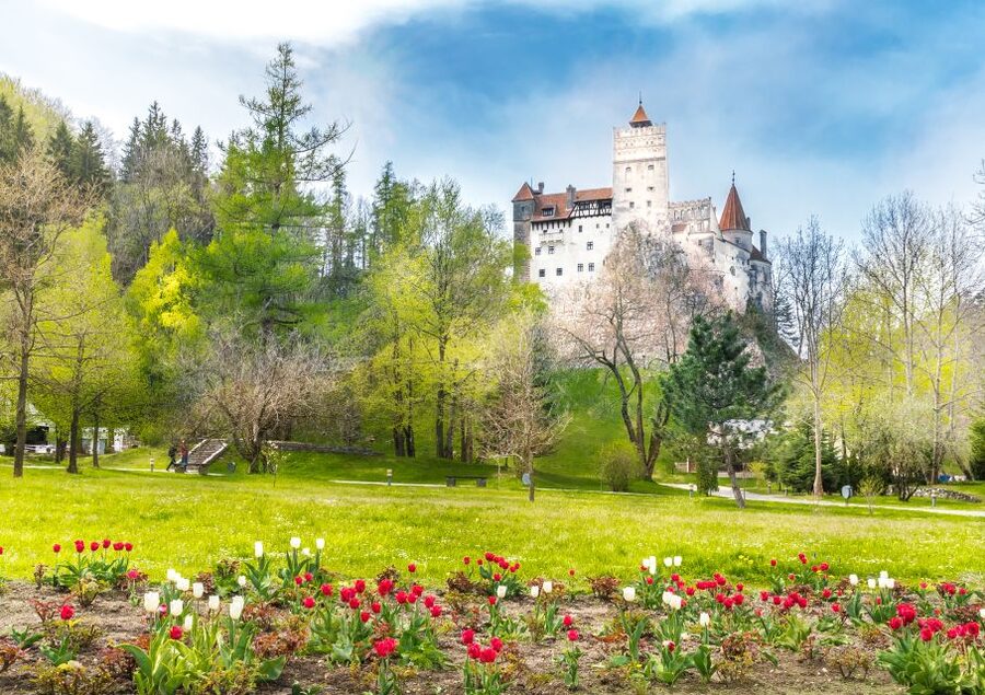 Bucharest: Dracula Castle, Peles Castle & Brasov Guided Tour - The road from Bucharest to Sinaia