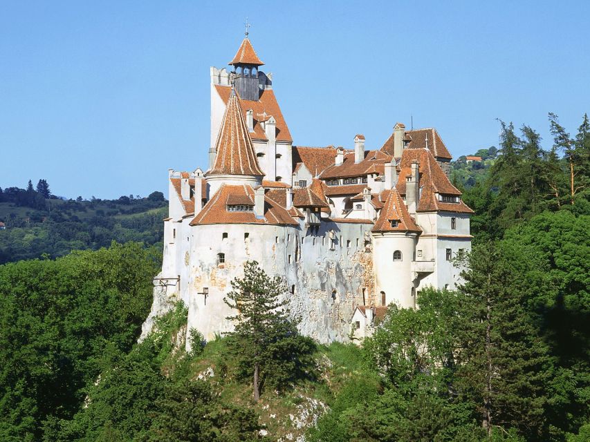 Bucharest: Dracula's Castle, Peles Castle, & Brasov Old Town - What this Bucharest to Transylvania trip is really like