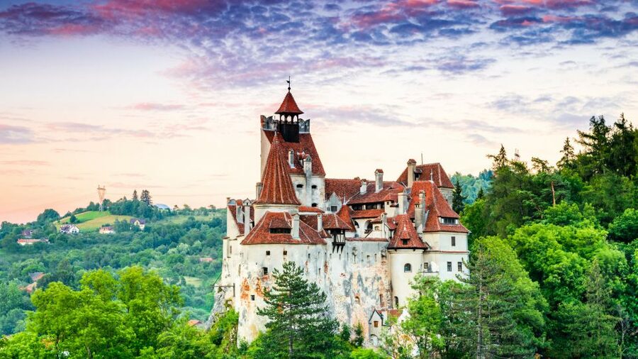 Bucharest: Dracula's Castle, Peles Castle, & Brasov Old Town - Who should book this day trip