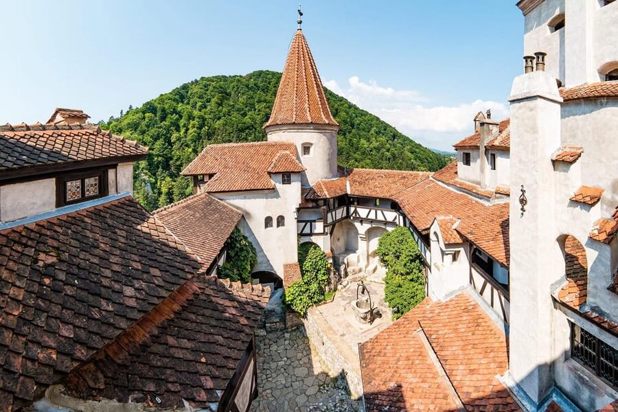 Bucharest: Peles & Dracula's Castle and Brasov Full-Day Trip - Who should book this Bucharest excursion?
