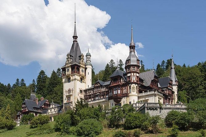 Bucharest Private Tour to Peles Castle & Biggest Salt Mine in Eu - Who should book this experience?