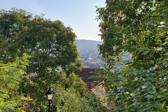 Bucharest Private Tour with Dracula's Grave and Ceaușescu Mansion - Key points before you book