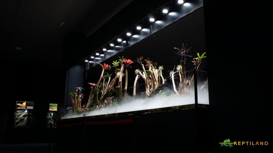 Bucharest: Reptiland Bucharest Entry Ticket - Tropical habitats inside Expo Building Corp B2