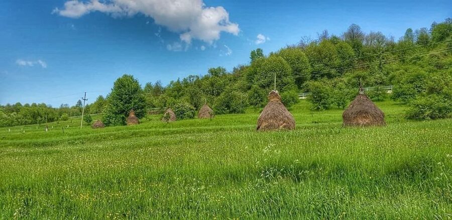 Bucharest: The Biggest Salt Mine in Europe & Wine Tasting - What private touring adds