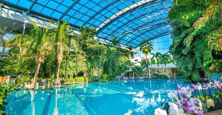 Bucharest: Therme Bucharest Entry Ticket and Transfer - A six-hour escape from Bucharest
