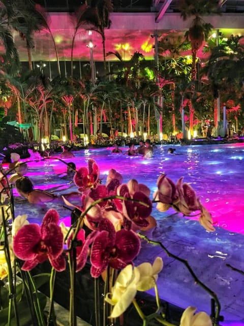 Bucharest: Therme Spa Night Experience with Transfer - Key points to know before you book