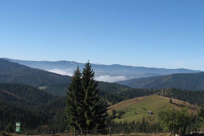 Bucovina Painted Monasteries Day Tour - Lunch above Bucovina at Palma Pass