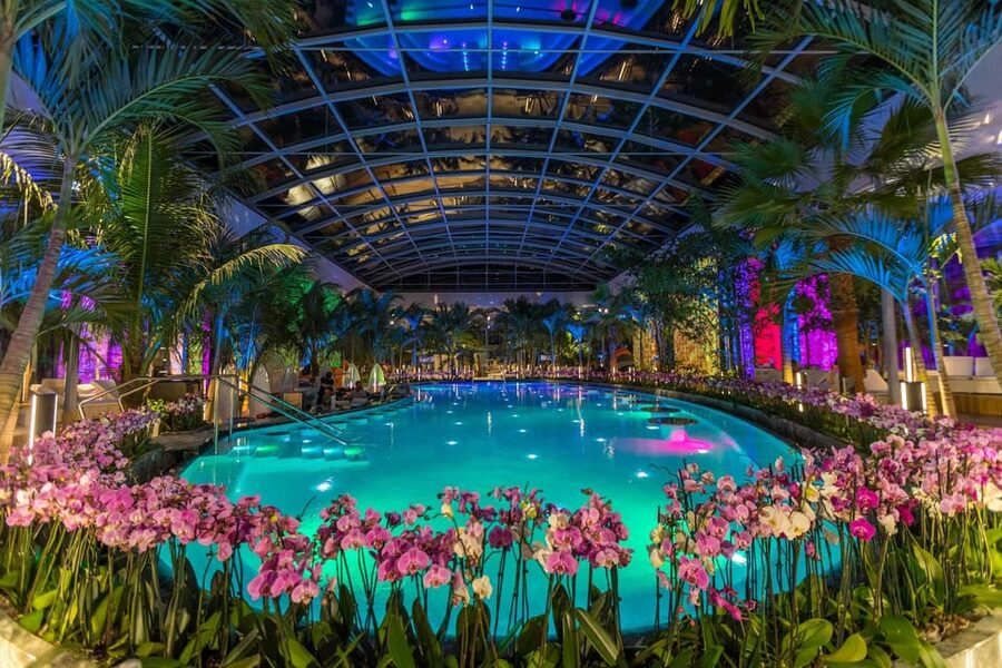 Bucuresti: Therme Bucharest Evening Entry Ticket & Transfer - The pools, palms, and light show