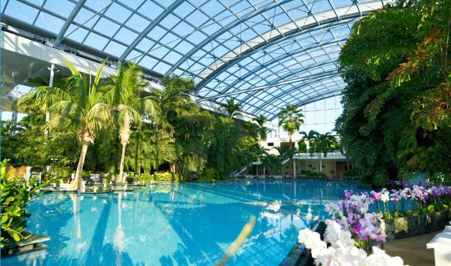 Bucuresti: Therme Bucharest Evening Entry Ticket & Transfer - Saunas, treatments, and the Elysium question