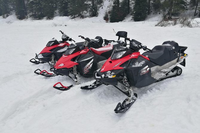 Carpathian mountains Snowmobile, ATV or Buggy tour in one day - Leaving Bucharest at 7:00 am