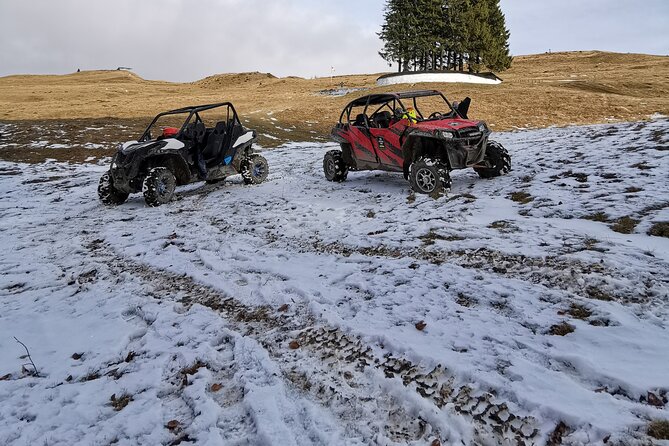 Carpathian mountains Snowmobile, ATV or Buggy tour in one day - Weather, cancellation, and timing
