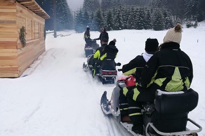 Carpathian mountains Snowmobile, ATV or Buggy tour in one day - Peles Castle: an hour of Romanian history
