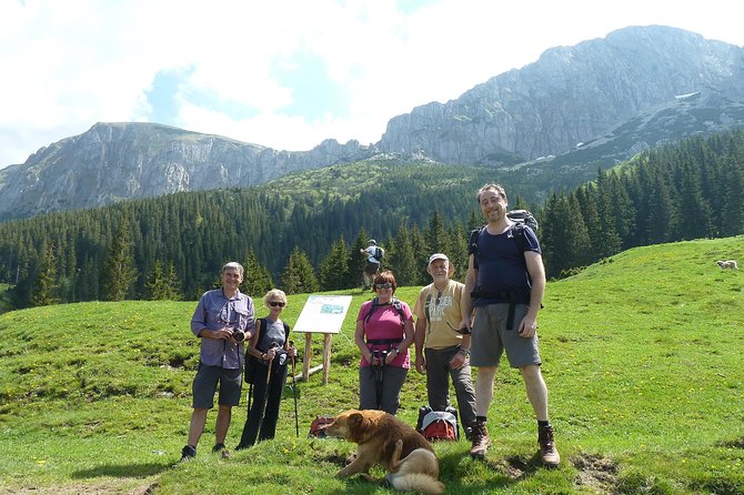 Carpathians in Romania: Bucegi Natural Park with native Spanish guide. - Gutanu and Poiana Gutanu: the day begins in open country