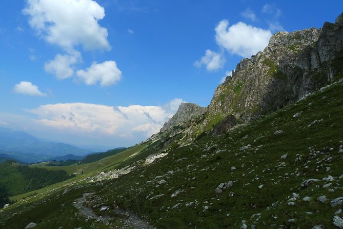 Carpathians in Romania: Bucegi Natural Park with native Spanish guide. - Vârful Bucșa and the return to Moeciu de Sus