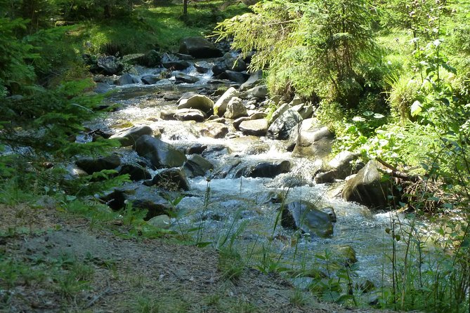 Carpathians in Romania: Bucegi Natural Park with native Spanish guide. - What the guide adds beyond navigation