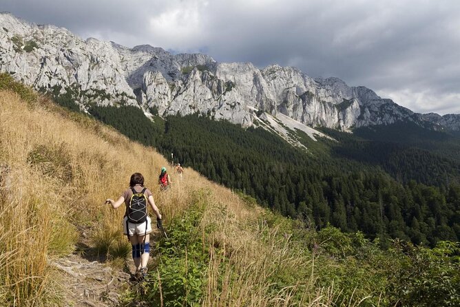 Carpathians in Romania: Piatra Craiului National Park with native Spanish guide. - The Zarnesti Gorges Make a Strong Opening