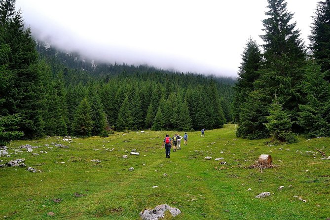 Carpathians in Romania: Piatra Craiului National Park with native Spanish guide. - Returning Through Poiana Zanoaga