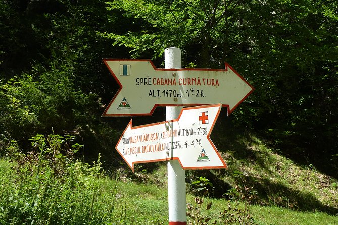 Carpathians in Romania: Piatra Craiului National Park with native Spanish guide. - Bear Sanctuary Visits Need Confirmation