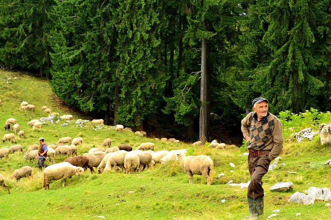 Carpathians in Romania: Piatra Craiului National Park with native Spanish guide. - Weather Can Change the Plan