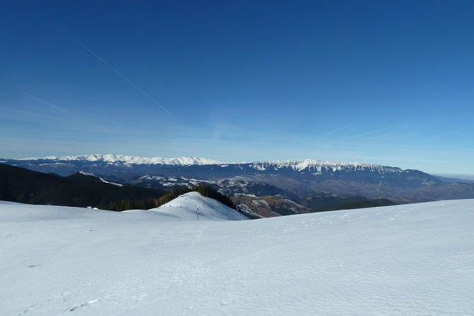 Carpathians in Romania: Piatra Craiului National Park with native Spanish guide. - Who Will Enjoy This Carpathian Day