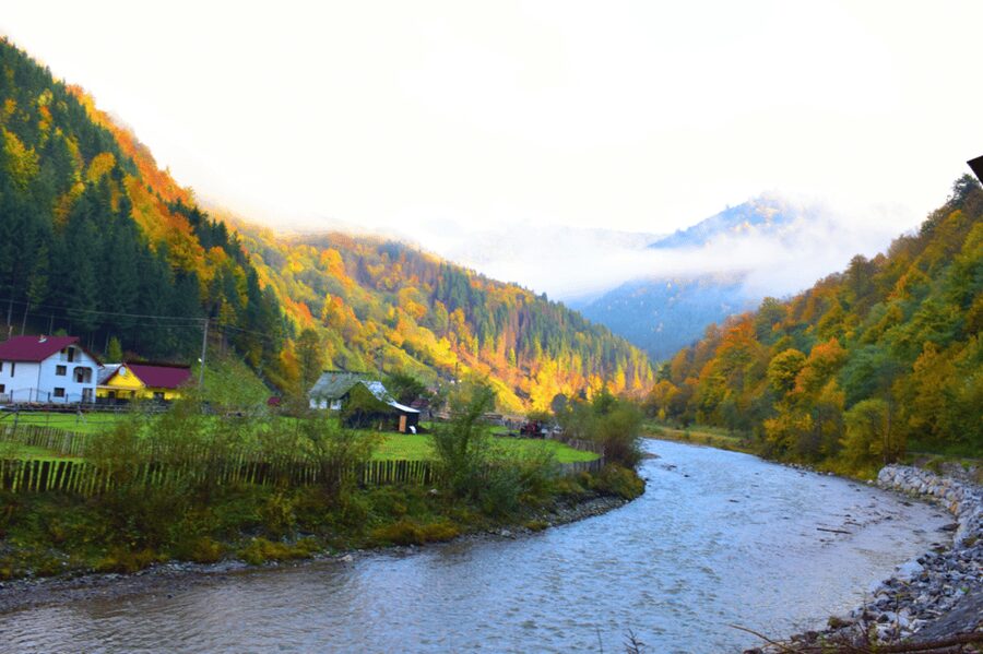 CJ03 - Day trip to Maramures Mocanita Train from Cluj Napoca - Why the Mocănița is worth the long ride
