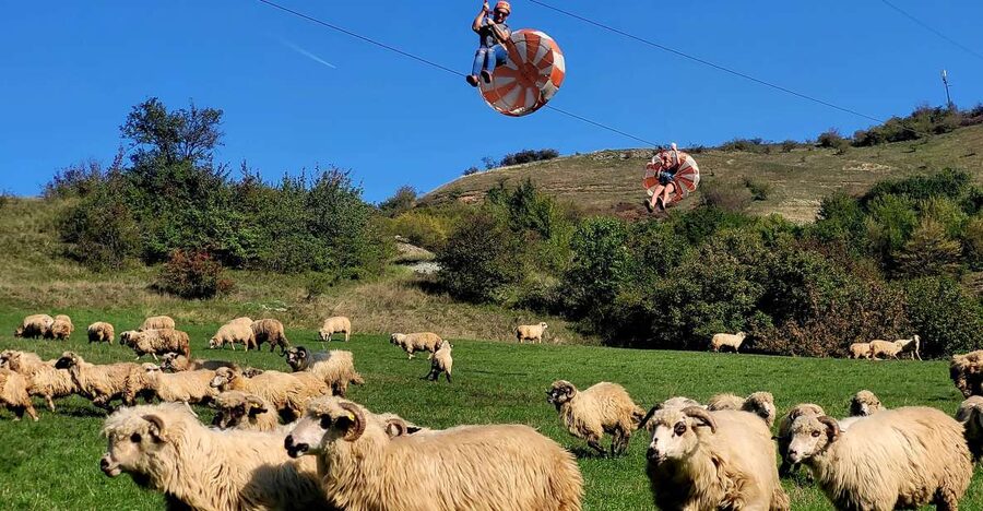 Cluj: Outdoor Activities Day Trip with Zip Line and Hike - The 600-meter zip line into the canyon