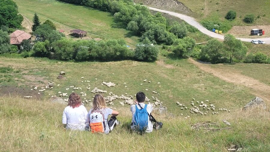 Cluj: Outdoor Activities Day Trip with Zip Line and Hike - Should you book the Turda Gorge zip line and hike?