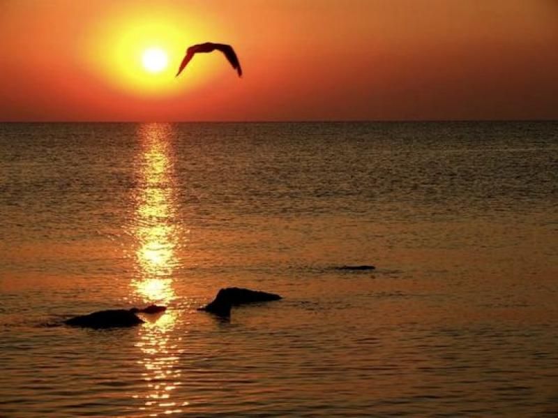 Constanta: Full Day Tour from Bucharest to the Black Sea - Why Constanta makes a worthwhile day trip from Bucharest