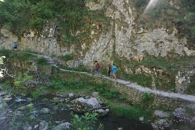 Curly Tour - Day trip from Cluj :) - Practical advice for a smoother day