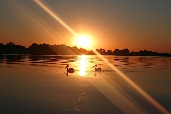 Daily Tours in the Danube Delta - Camely Cruise - Who will get the most from this outing