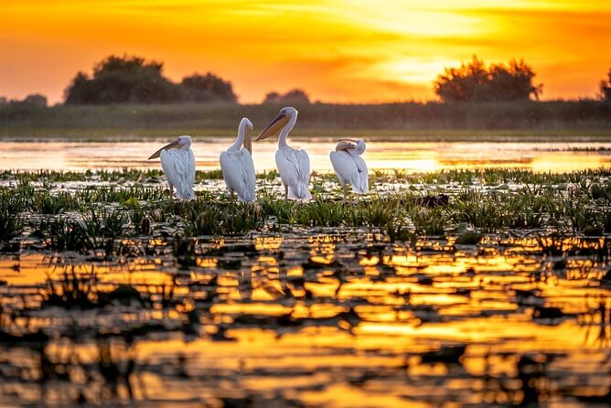 Danube Delta and Black See - 2 Days Private Tour from Bucharest - Is the $1,239.07 price good value?